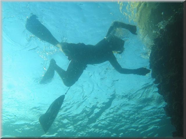 3-210_Snorkeling_Ben