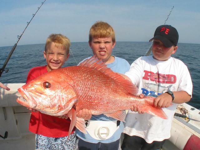 0469_3Sons_Snapper