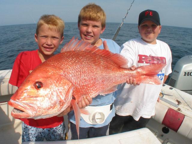 0472_3Sons_Snapper