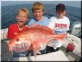 0471_3Sons_Snapper