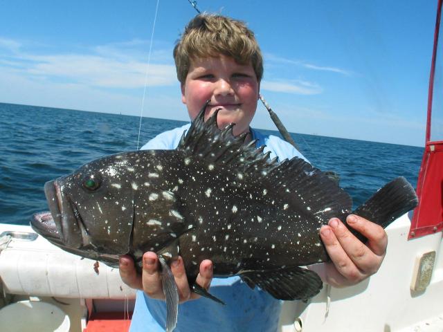 0543-Paul-Grouper