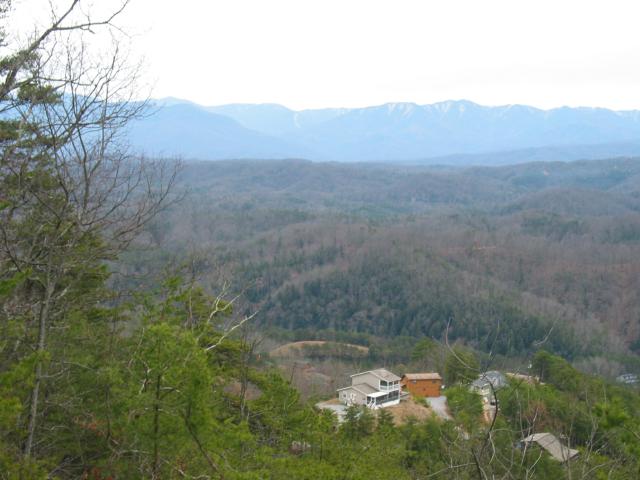 STA_6873
