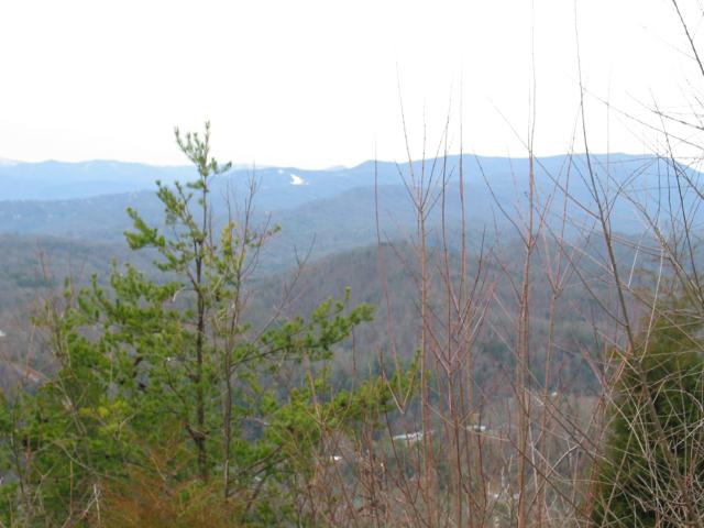 STE_6877