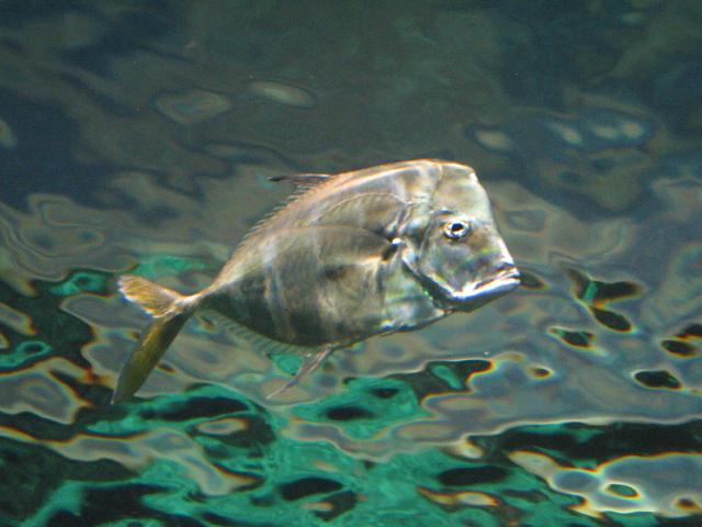 IMG_7059