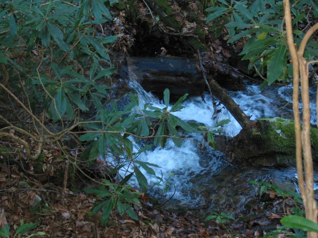 IMG_0374