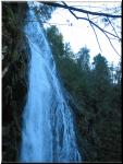 IMG_0452