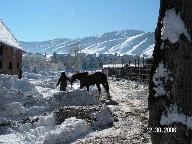 December snows 2006 063