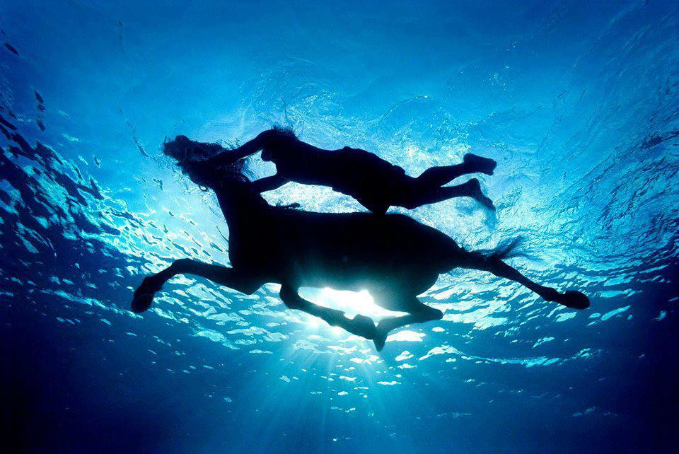 Horse-Swimming