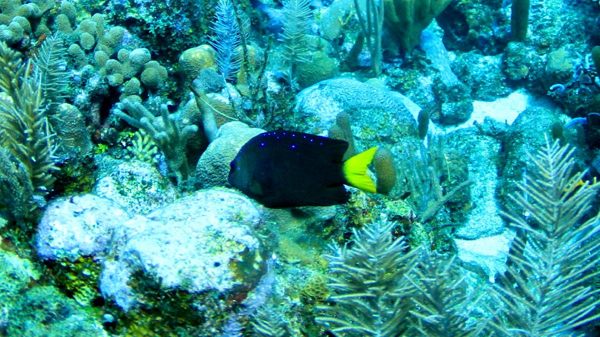 IMG_5020