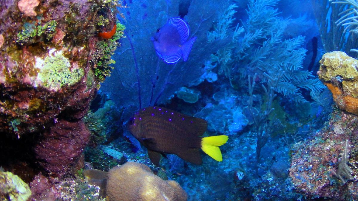 IMG_5533
