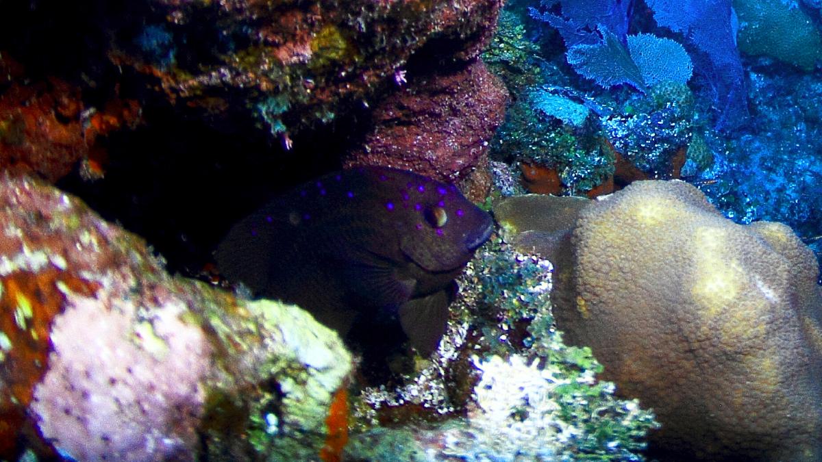 IMG_5534