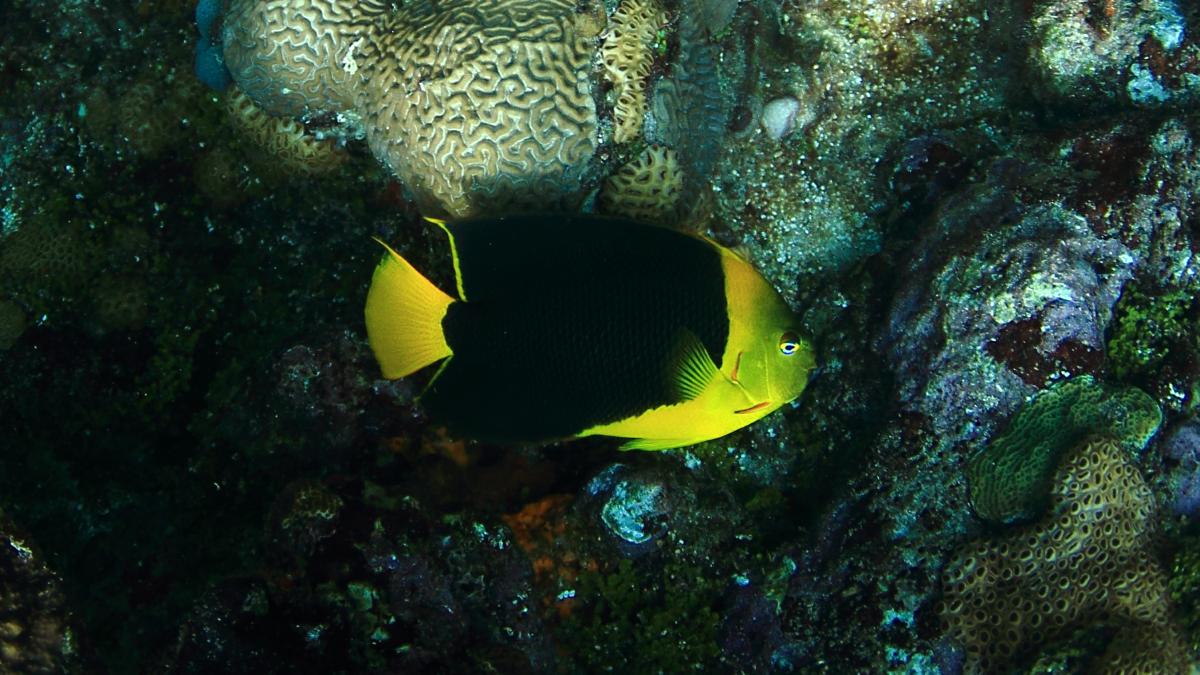 IMG_5669