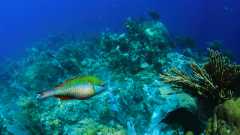 IMG_5628-cr2