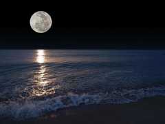 moon-night