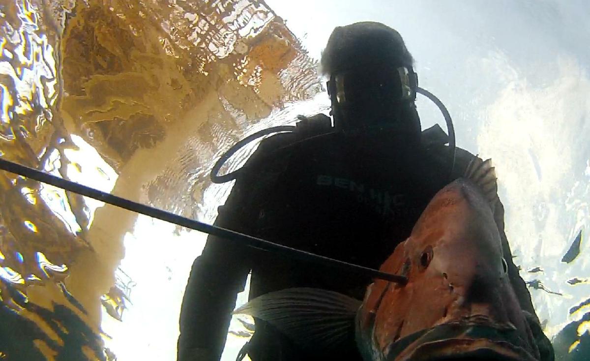 z2015aug29_spearfishing_mp186-17_cropped