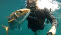 z2015aug29_spearfishing_mp186-5_cropped