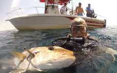 z2015aug29_spearfishing_mp186-9_Cropped
