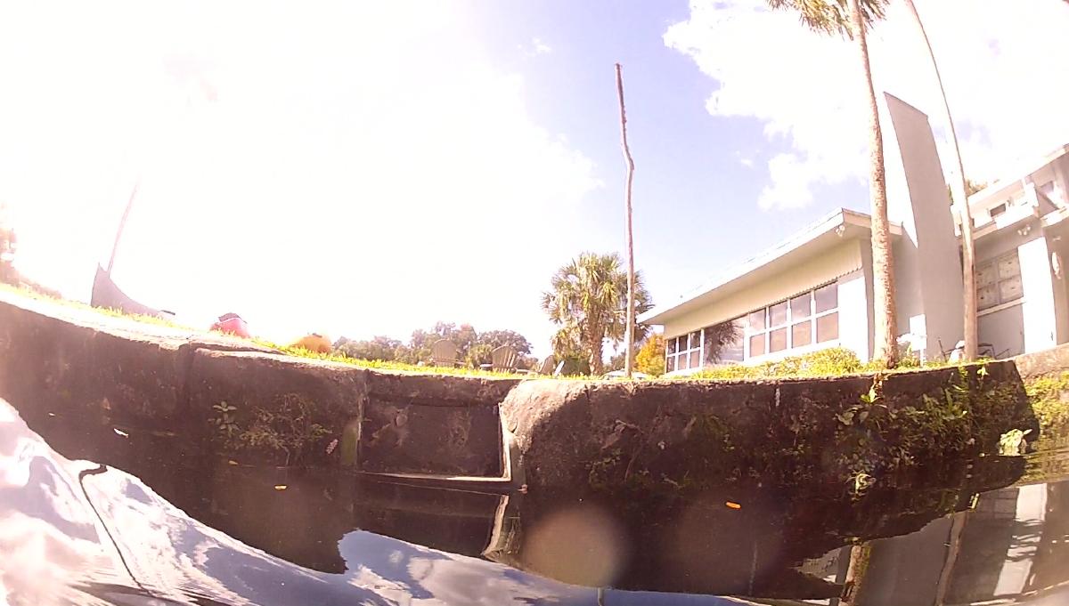vlcsnap-2016-12-12-12h42m38s307
