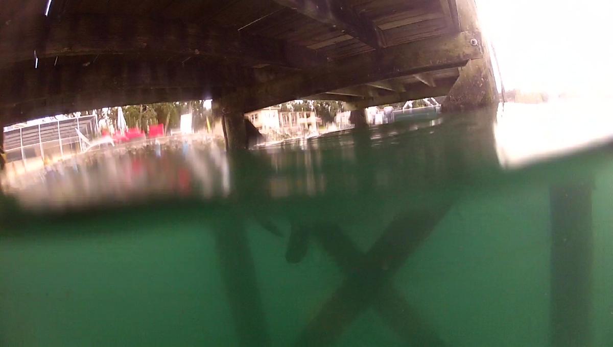 vlcsnap-2016-12-12-12h54m16s064