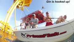 vlcsnap-2016-06-19-07h07m06s431 (3)