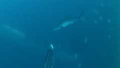 vlcsnap-2016-06-19-07h12m21s739 (2)