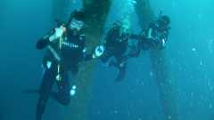 2017March10_MP280_Omar&Student_Divers_JP_Lisa-trio2