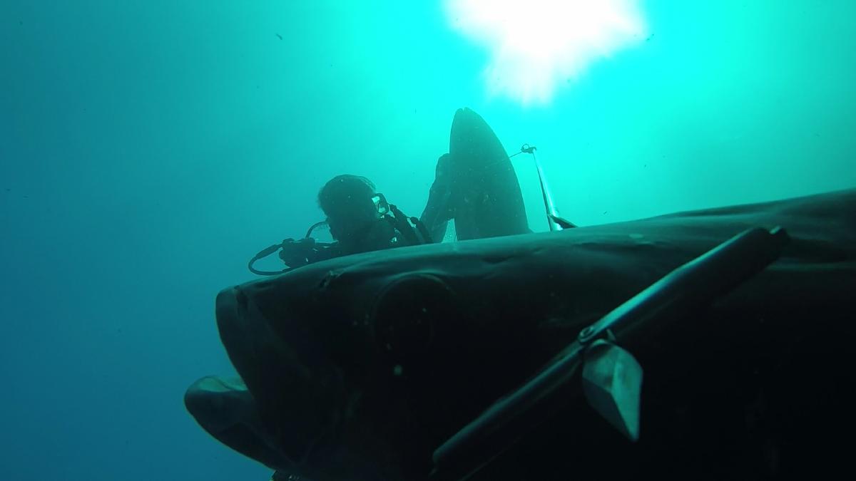 2018Jan19_MP270B_AJ_Cobia_Omar4
