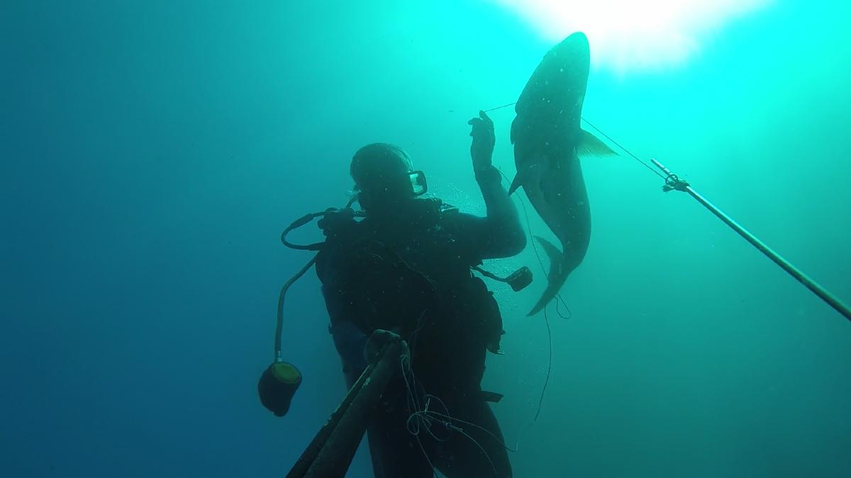 2018Jan19_MP270B_AJ_Cobia_Omar5