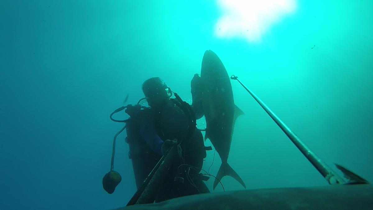 2018Jan19_MP270B_AJ_Cobia_Omar6