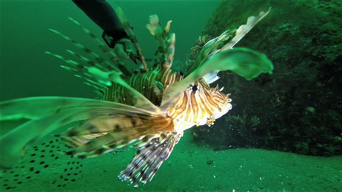 z~180519-Day2-LRAD_LionFish_PCola_Charlie_Kevin_Wesley_Paul-LionFish (2)