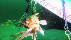 z~180519-Day2-LRAD_LionFish_PCola_Charlie_Kevin_Wesley_Paul-LionFish-Zook (2)