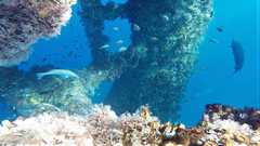 180916_VK385-VK340_Derik_Stacy_Dave-snorkeling-majors2