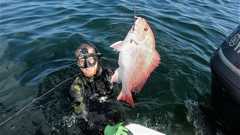 190630_Shallow_Fields_Zac_Colton_Cefalu_Cobia-red-snapper-colton