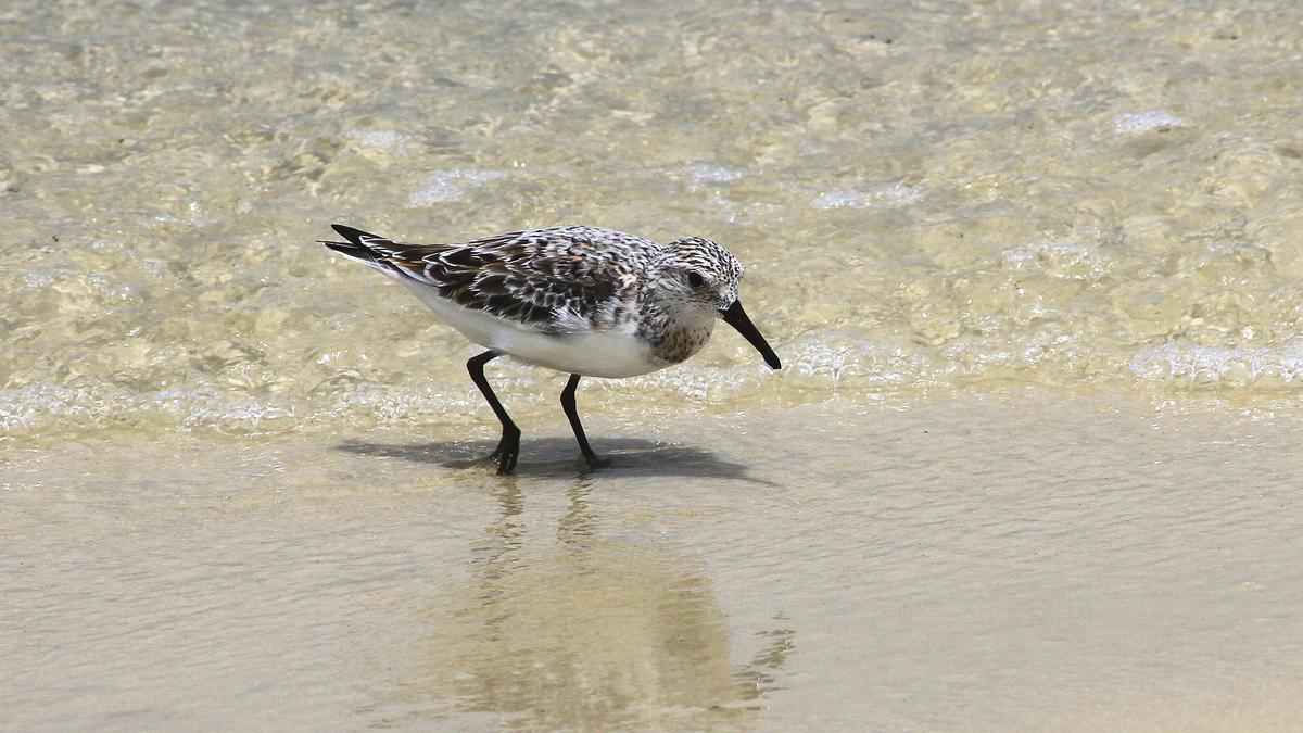 IMG_4323