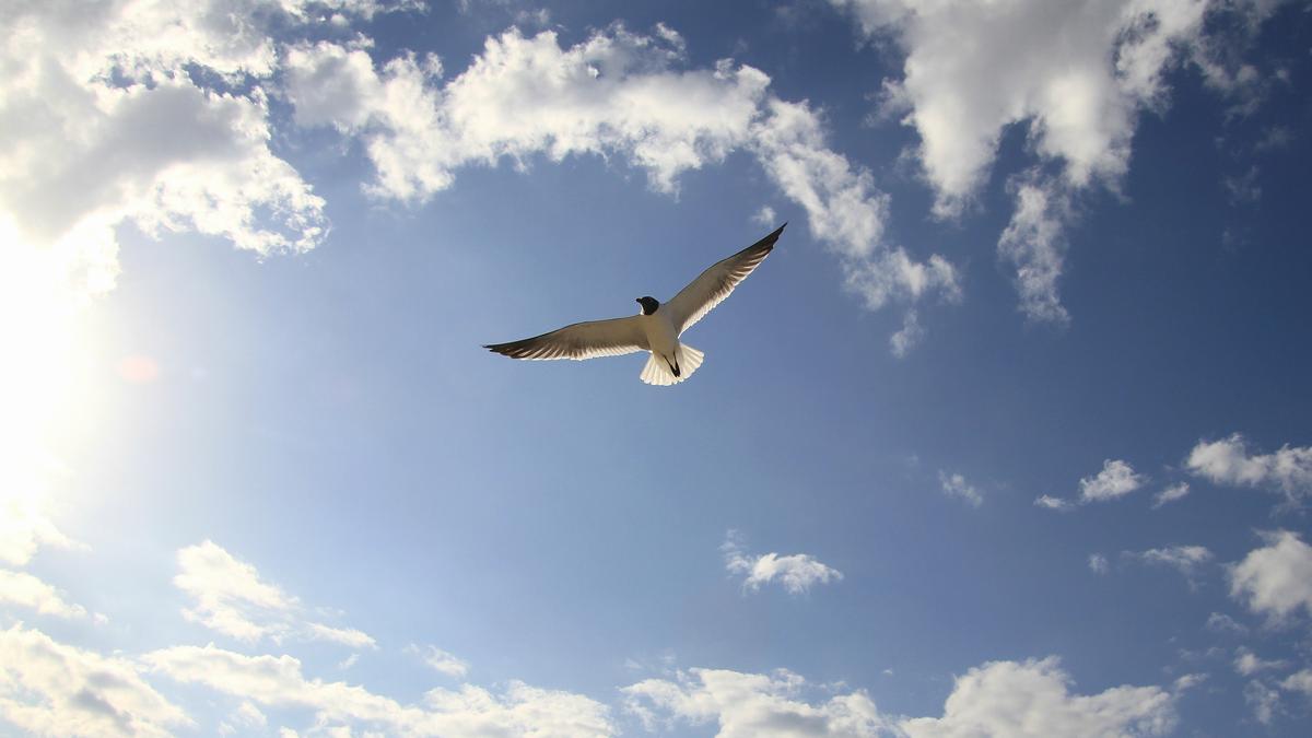 IMG_6671