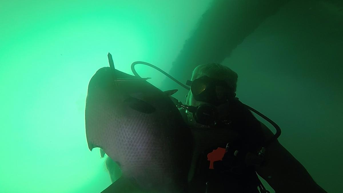 230519-MP225-25-Ocean_Trigger