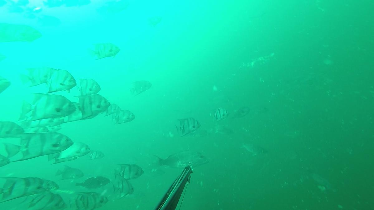 230528-Apco_Barge-1-Snapper
