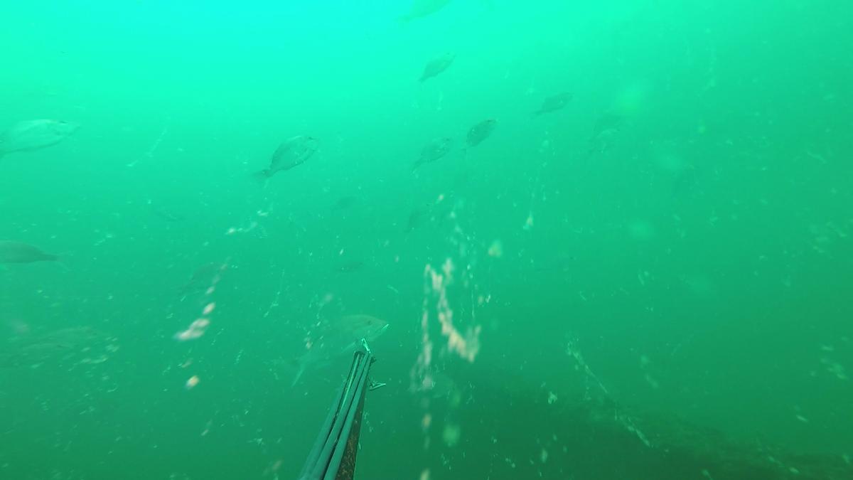 230528-Apco_Barge-10-Snapper