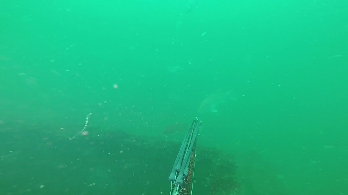230528-Apco_Barge-14-Snapper