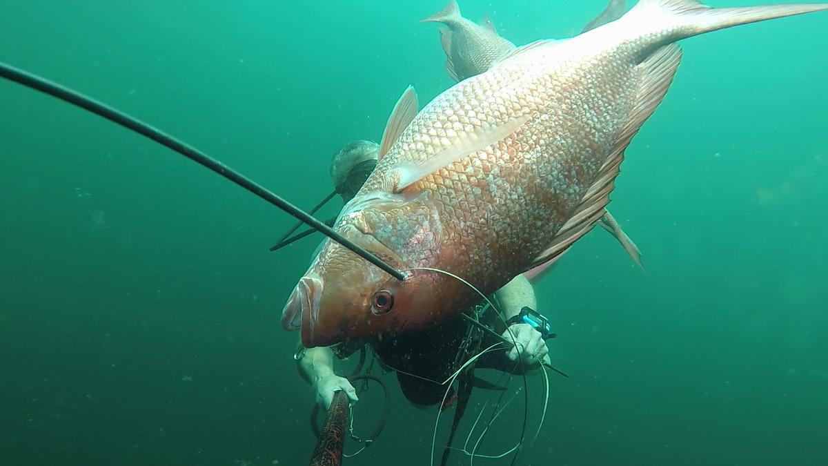 230528-Apco_Barge-20-Snapper