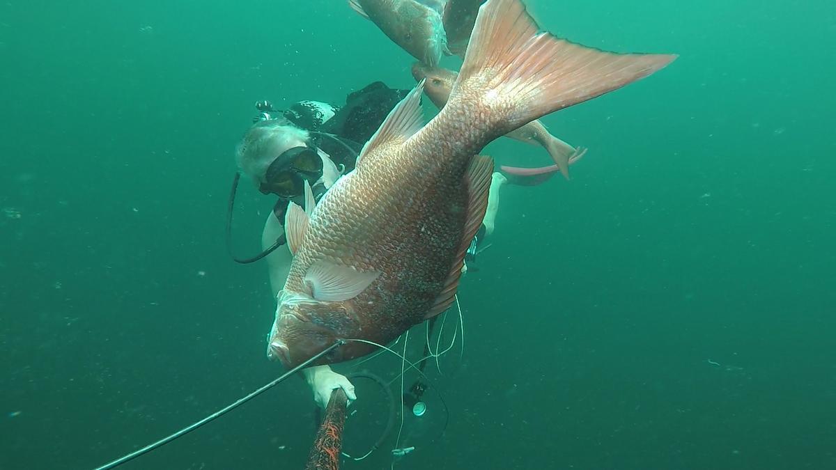 230528-Apco_Barge-21-Snapper