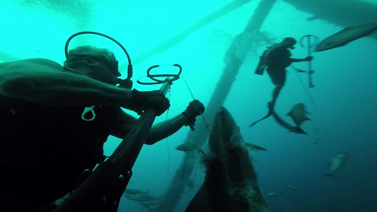 230624-Venice-38-Cobia-Paul
