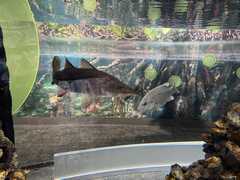 IMG_3604-Oceanarium