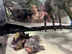 IMG_3625-Oceanarium-Jack-Rory