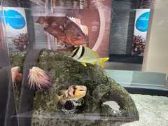 IMG_3634-Oceanarium