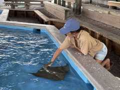 IMG_3735-Oceanarium-Laura-StingRay