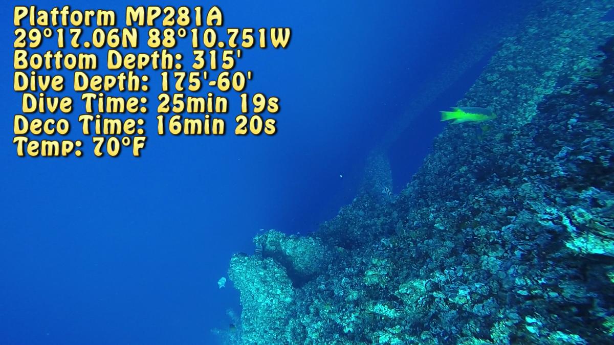 241026_MP281_Info