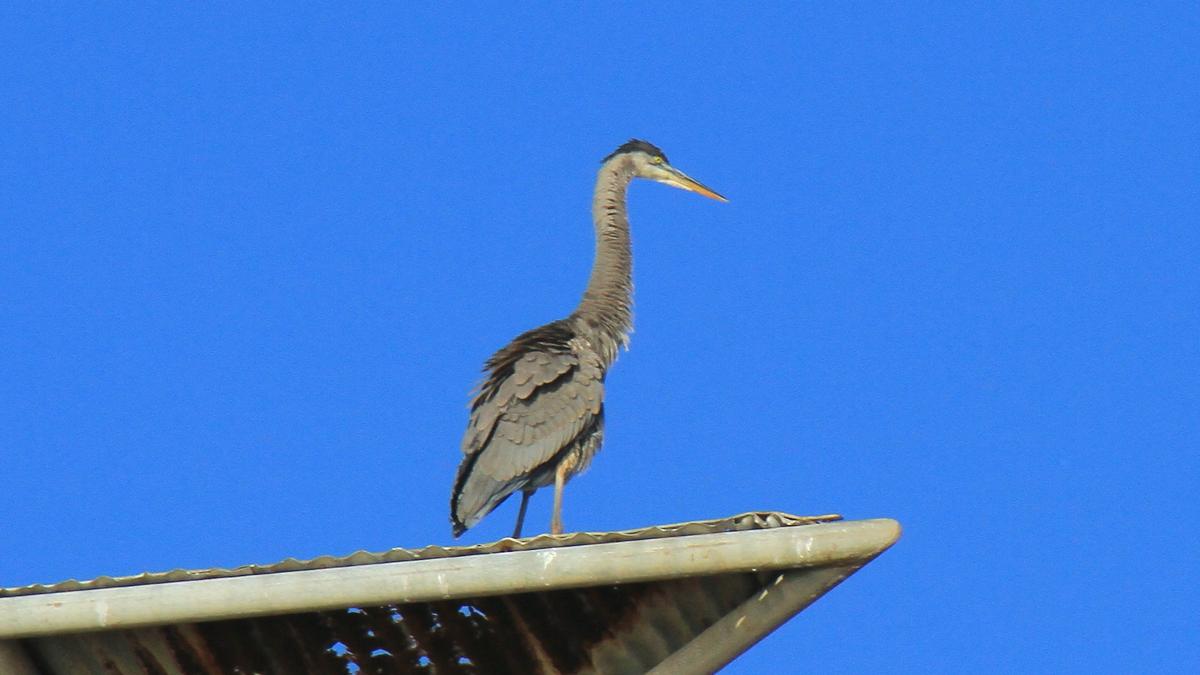 IMG_2795