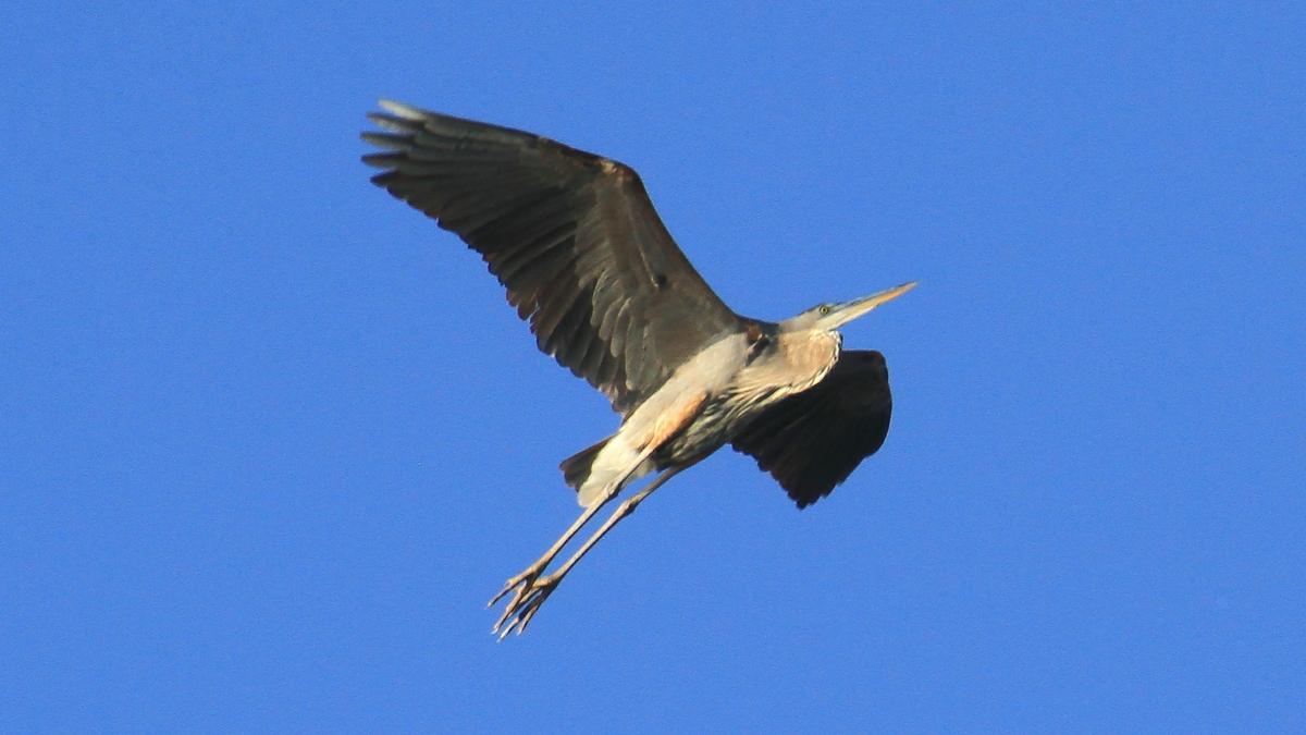 IMG_2800