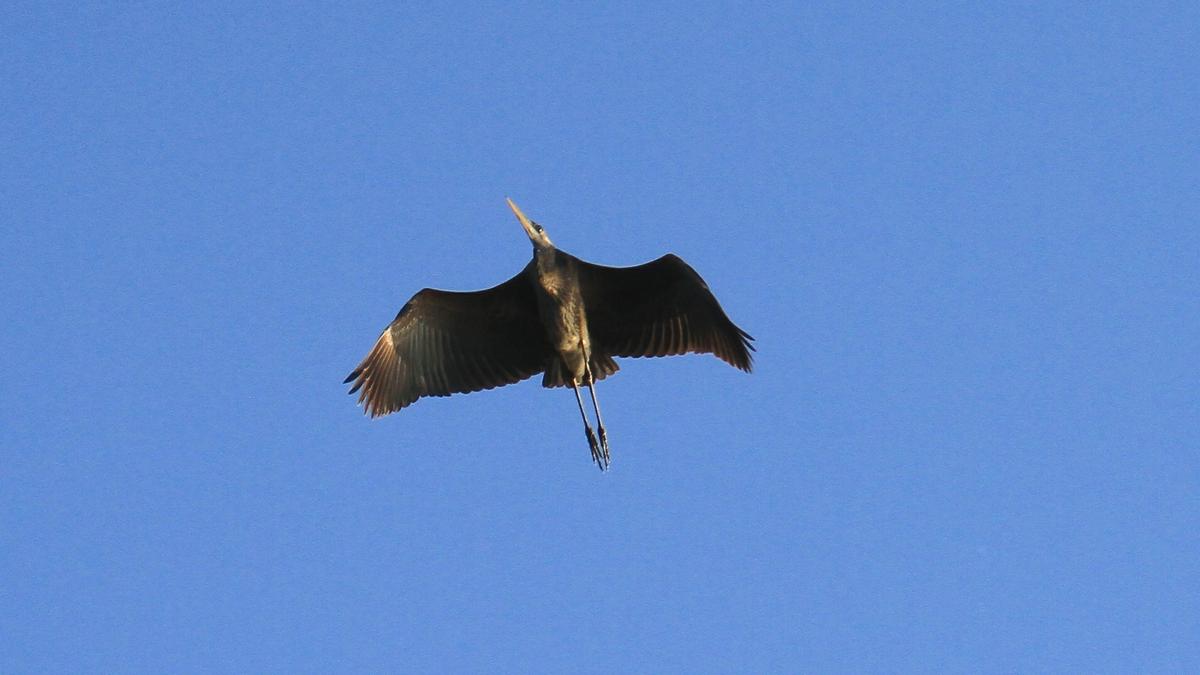 IMG_2809